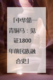 中华第一青铜马：见证1800年前民族融合史