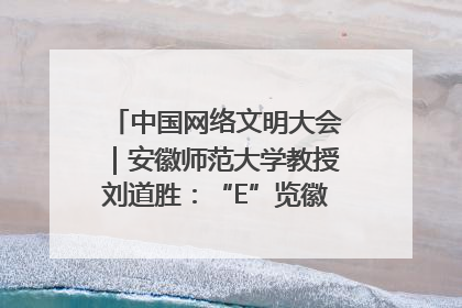中国网络文明大会｜安徽师范大学教授刘道胜：“E”览徽风，构筑中华民族共有精神家园
