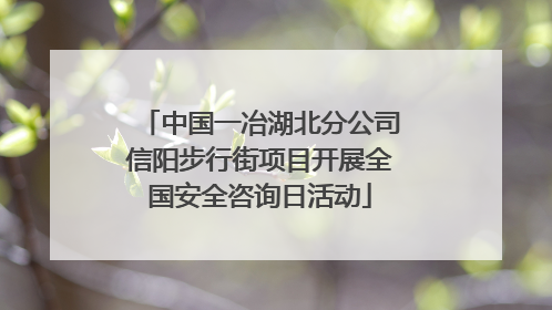 中国一冶湖北分公司信阳步行街项目开展全国安全咨询日活动