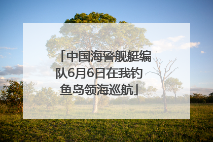 中国海警舰艇编队6月6日在我钓鱼岛领海巡航