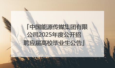 中国能源传媒集团有限公司2025年度公开招聘应届高校毕业生公告