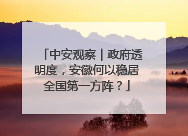 中安观察｜政府透明度，安徽何以稳居全国第一方阵？