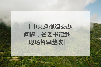 中央巡视组交办问题，省委书记赴现场督导整改