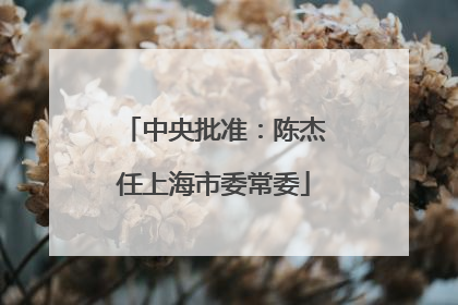 中央批准：陈杰任上海市委常委