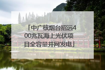 中广核烟台招远400兆瓦海上光伏项目全容量并网发电