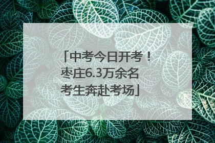 中考今日开考！枣庄6.3万余名考生奔赴考场