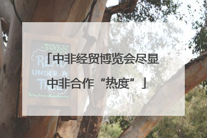 中非经贸博览会尽显中非合作“热度”