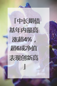 中长期债基年内最高涨超4%，超6成净值表现创新高