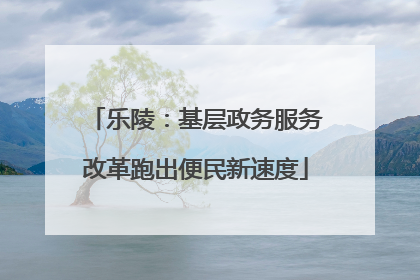乐陵：基层政务服务改革跑出便民新速度