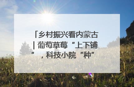乡村振兴看内蒙古｜葡萄草莓“上下铺”，科技小院“种”出三倍效益