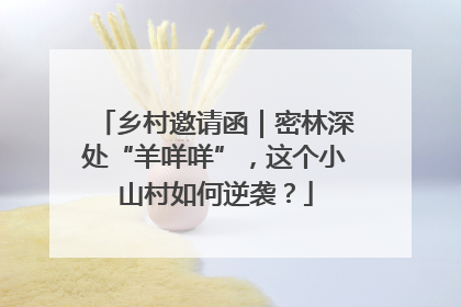 乡村邀请函｜密林深处“羊咩咩”，这个小山村如何逆袭？