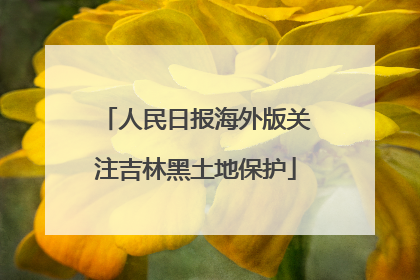 人民日报海外版关注吉林黑土地保护