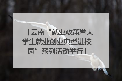 云南“就业政策暨大学生就业创业典型进校园”系列活动举行