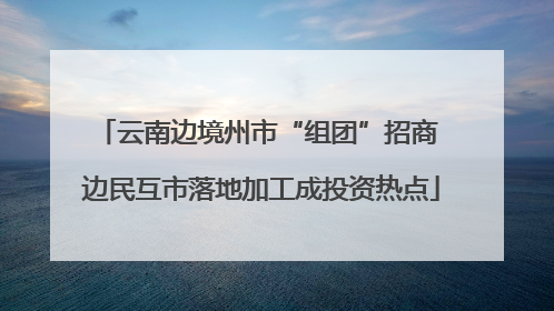 云南边境州市“组团”招商 边民互市落地加工成投资热点
