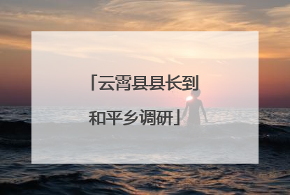云霄县县长到和平乡调研