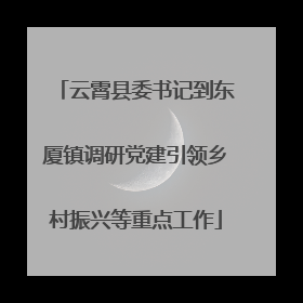 云霄县委书记到东厦镇调研党建引领乡村振兴等重点工作