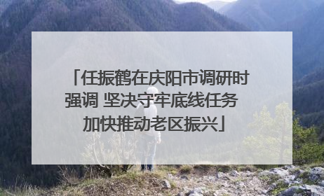 任振鹤在庆阳市调研时强调 坚决守牢底线任务 加快推动老区振兴