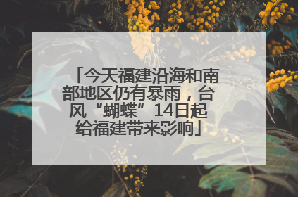 今天福建沿海和南部地区仍有暴雨，台风“蝴蝶”14日起给福建带来影响