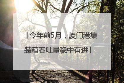 今年前5月，厦门港集装箱吞吐量稳中有进