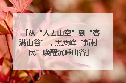 从“人去山空”到“客满山谷”，黑麋峰“新村民”唤醒沉睡山谷