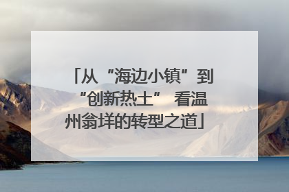 从“海边小镇”到“创新热土” 看温州翁垟的转型之道