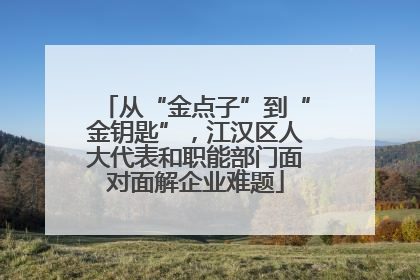 从“金点子”到“金钥匙”，江汉区人大代表和职能部门面对面解企业难题