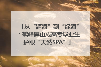 从“题海”到“绿海”：鹤峰屏山成高考毕业生护眼“天然SPA”