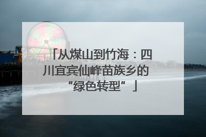 从煤山到竹海：四川宜宾仙峰苗族乡的“绿色转型”