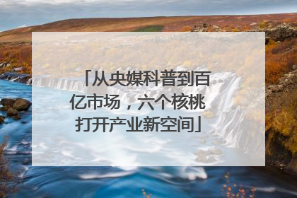 从央媒科普到百亿市场，六个核桃打开产业新空间