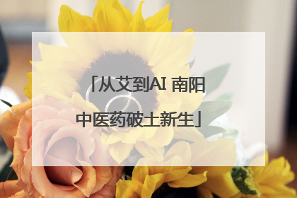 从艾到AI 南阳中医药破土新生