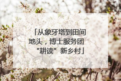 从象牙塔到田间地头，博士服务团“耕读”新乡村