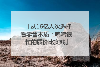 从16亿人次选择看零售本质：鸣鸣很忙的质价比实践