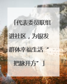代表委员联组进社区，为银发群体幸福生活“把脉开方”