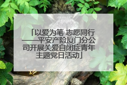 以爱为笔 志愿同行——平安产险厦门分公司开展关爱自闭症青年主题党日活动