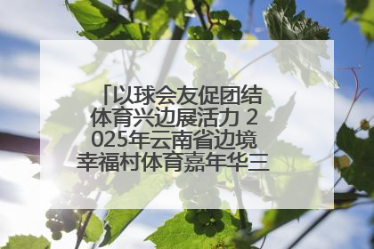以球会友促团结 体育兴边展活力 2025年云南省边境幸福村体育嘉年华三人篮球赛圆满收官