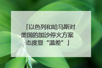 以色列和哈马斯对美国的加沙停火方案态度显“温差”