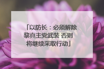 以防长：必须解除黎真主党武装 否则将继续采取行动