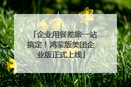 企业用餐差旅一站搞定！鸿蒙版美团企业版正式上线