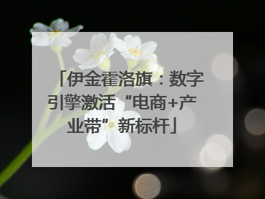 伊金霍洛旗：数字引擎激活“电商+产业带”新标杆
