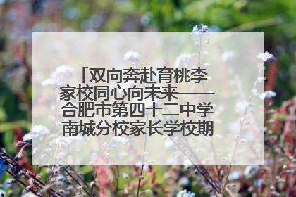 双向奔赴育桃李 家校同心向未来——合肥市第四十二中学南城分校家长学校期末总结会圆满召开