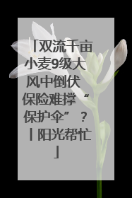 双流千亩小麦9级大风中倒伏 保险难撑“保护伞”？丨阳光帮忙