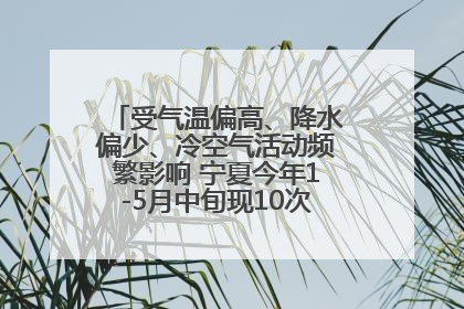 受气温偏高、降水偏少、冷空气活动频繁影响 宁夏今年1-5月中旬现10次定级沙尘天气过程