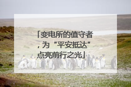 变电所的值守者，为“平安抵达”点亮前行之光