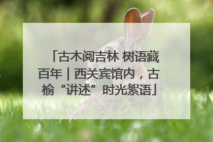 古木阅吉林 树语藏百年｜西关宾馆内，古榆“讲述”时光絮语