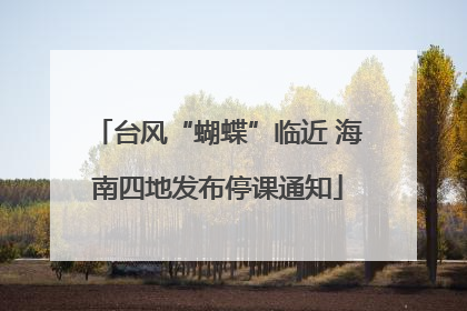 台风“蝴蝶”临近 海南四地发布停课通知