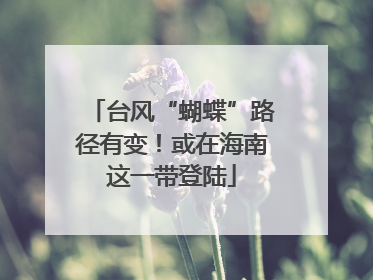 台风“蝴蝶”路径有变！或在海南这一带登陆