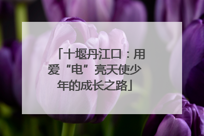 十堰丹江口：用爱“电”亮天使少年的成长之路