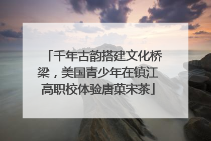 千年古韵搭建文化桥梁，美国青少年在镇江高职校体验唐菓宋茶