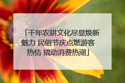 千年农耕文化尽显焕新魅力 民俗节庆点燃游客热情 撬动消费热潮