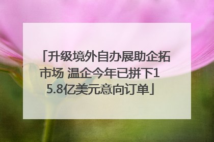 升级境外自办展助企拓市场 温企今年已拼下15.8亿美元意向订单
